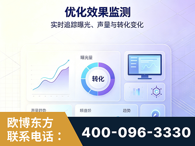 安康-优化效果监测