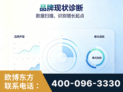 安康-品牌现状诊断